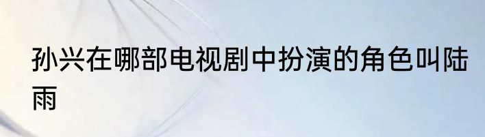 孙兴在哪部电视剧中扮演的角色叫陆雨