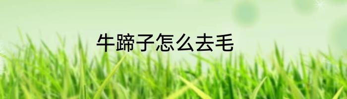 牛蹄子怎么去毛