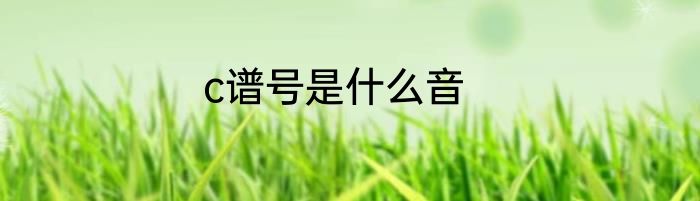 c谱号是什么音