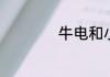 牛电和小牛是一家吗