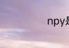 npy是什么意思