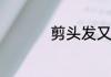 剪头发又叫作什么手术