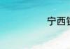 宁西铁路的介绍