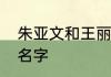 朱亚文和王丽坤一起演的电视剧叫啥名字