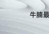 牛腩最正宗的做法