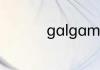 galgame是什么意思啊