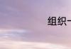 组织一个晚会时