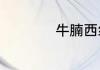牛腩西红柿汤的做法