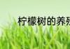 柠檬树的养殖方法和注意事项