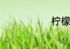 柠檬酸了解释