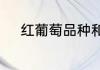 红葡萄品种和白葡萄品种有哪些