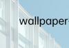 wallpaper每次启动都要更新