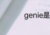 genie是什么牌子的表