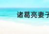 诸葛亮妻子黄月英真的丑吗