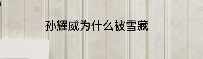 孙耀威为什么被雪藏