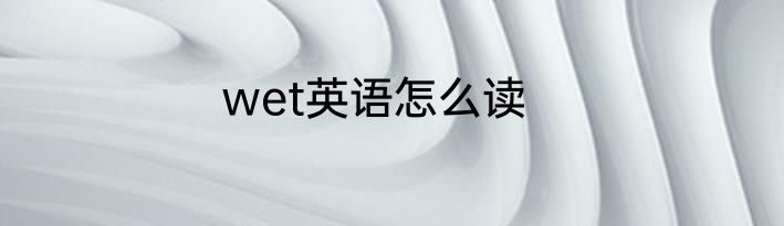 wet英语怎么读