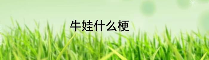 牛娃什么梗
