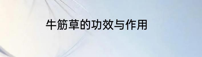 牛筋草的功效与作用