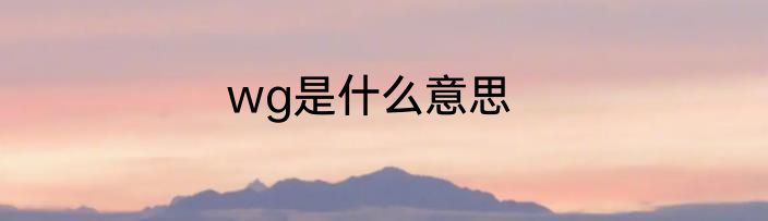 wg是什么意思