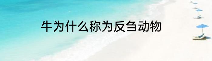 牛为什么称为反刍动物