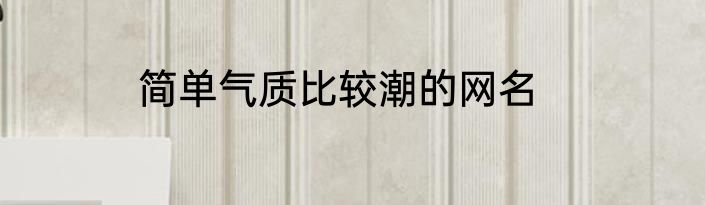 简单气质比较潮的网名