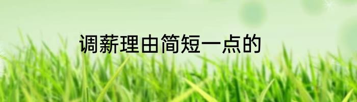 调薪理由简短一点的