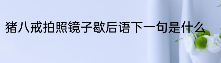 猪八戒拍照镜子歇后语下一句是什么