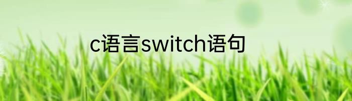 c语言switch语句