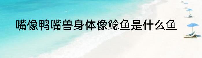 嘴像鸭嘴兽身体像鲶鱼是什么鱼