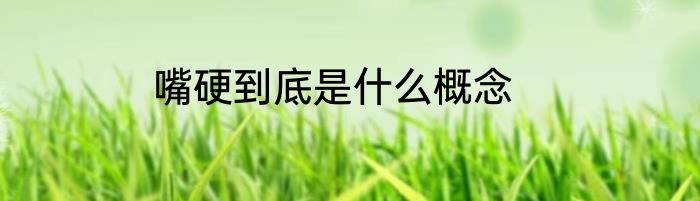 嘴硬到底是什么概念