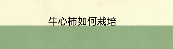 牛心柿如何栽培