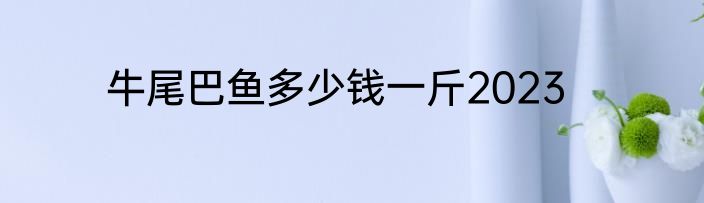 牛尾巴鱼多少钱一斤2023
