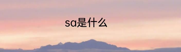 sa是什么
