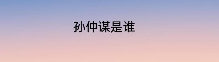 孙仲谋是谁