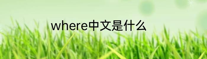 where中文是什么