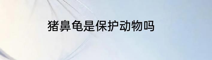 猪鼻龟是保护动物吗
