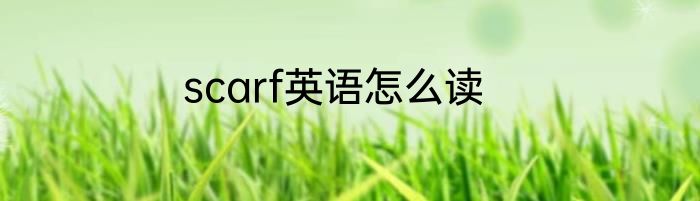scarf英语怎么读