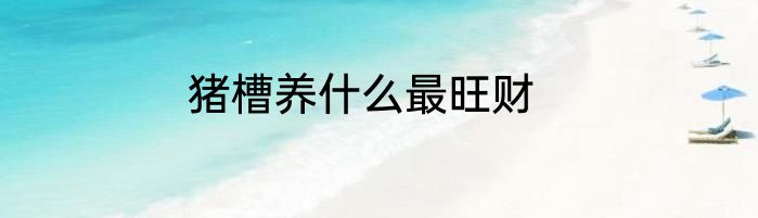 猪槽养什么最旺财