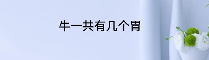 牛一共有几个胃