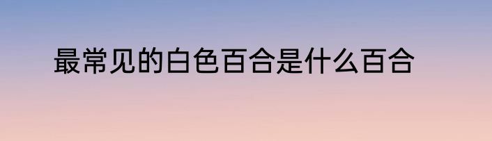 最常见的白色百合是什么百合
