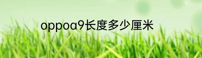 oppoa9长度多少厘米