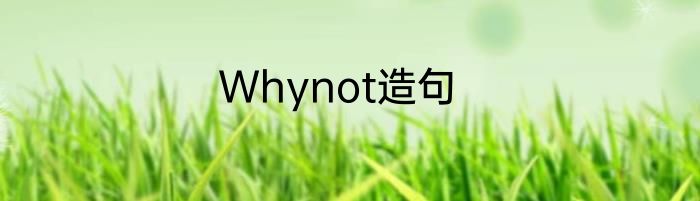 Whynot造句