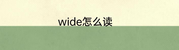 wide怎么读