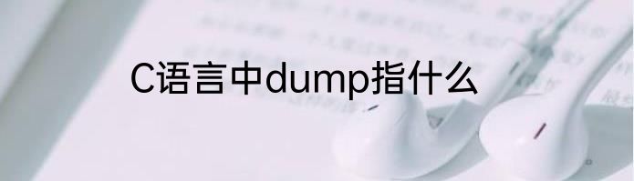 C语言中dump指什么