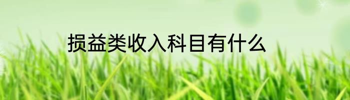 损益类收入科目有什么