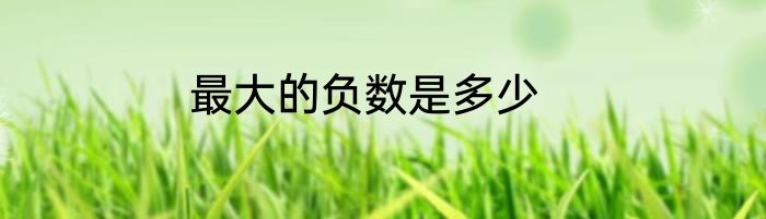 最大的负数是多少