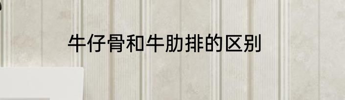牛仔骨和牛肋排的区别