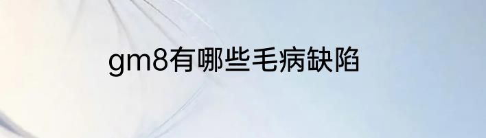 gm8有哪些毛病缺陷