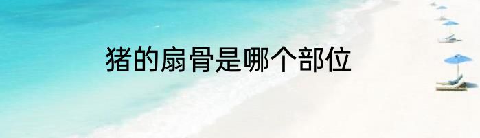 猪的扇骨是哪个部位