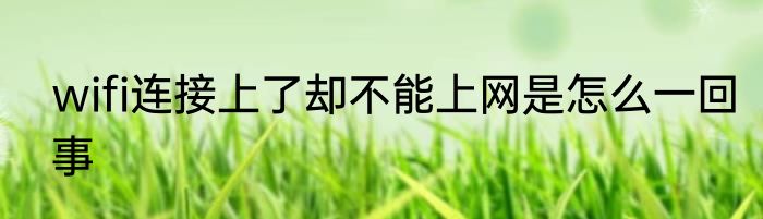 wifi连接上了却不能上网是怎么一回事